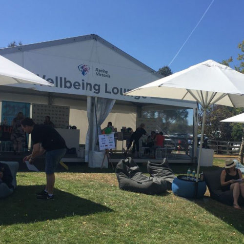 well being lounge was added on the Inglis Melbourne premier yearling sale event and they have bean bags to make the attendees relax